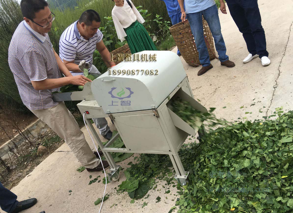 151425272439311585.jpg 151425272439311585.jpg