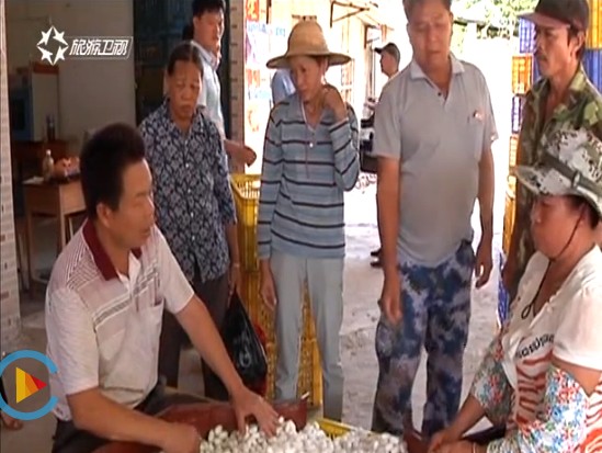 桑蚕.jpg 桑蚕.jpg