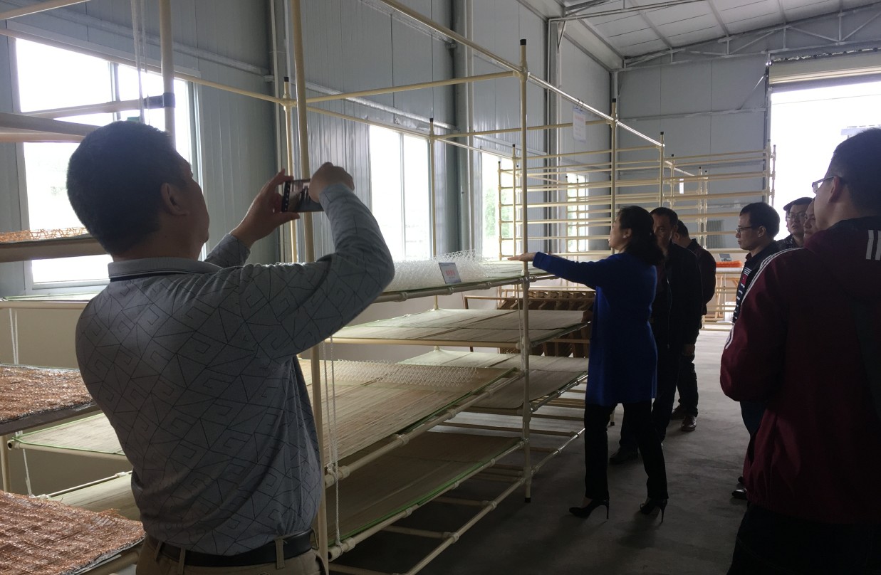 省力化蚕台 省力化蚕台