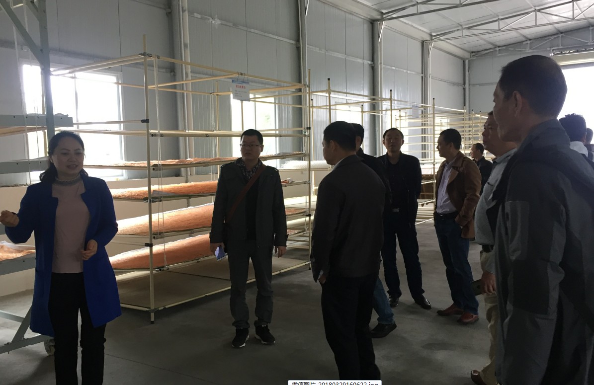 现代化养蚕设备 现代化养蚕设备